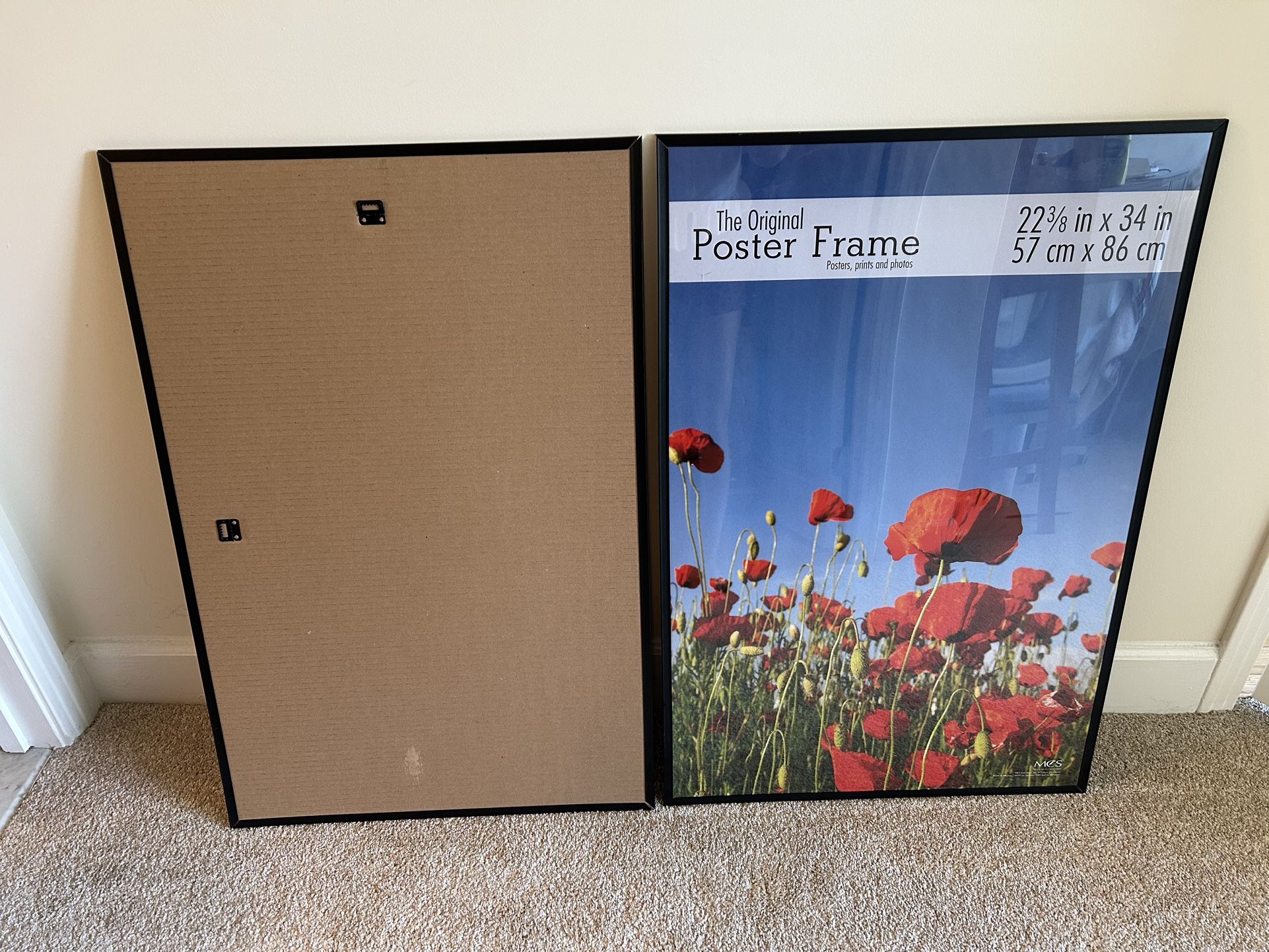 Two Light Poster Frames