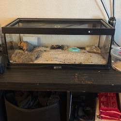 Small Reptile/insect Setup
