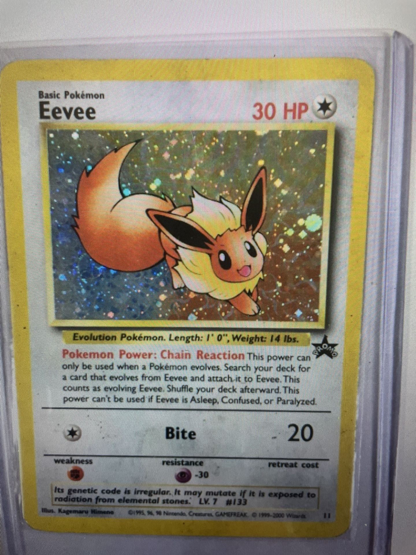 Evee Lot 