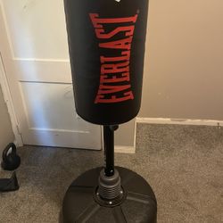Everlast Freestanding Punching Bag 