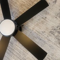 Ceiling fan (brand new)