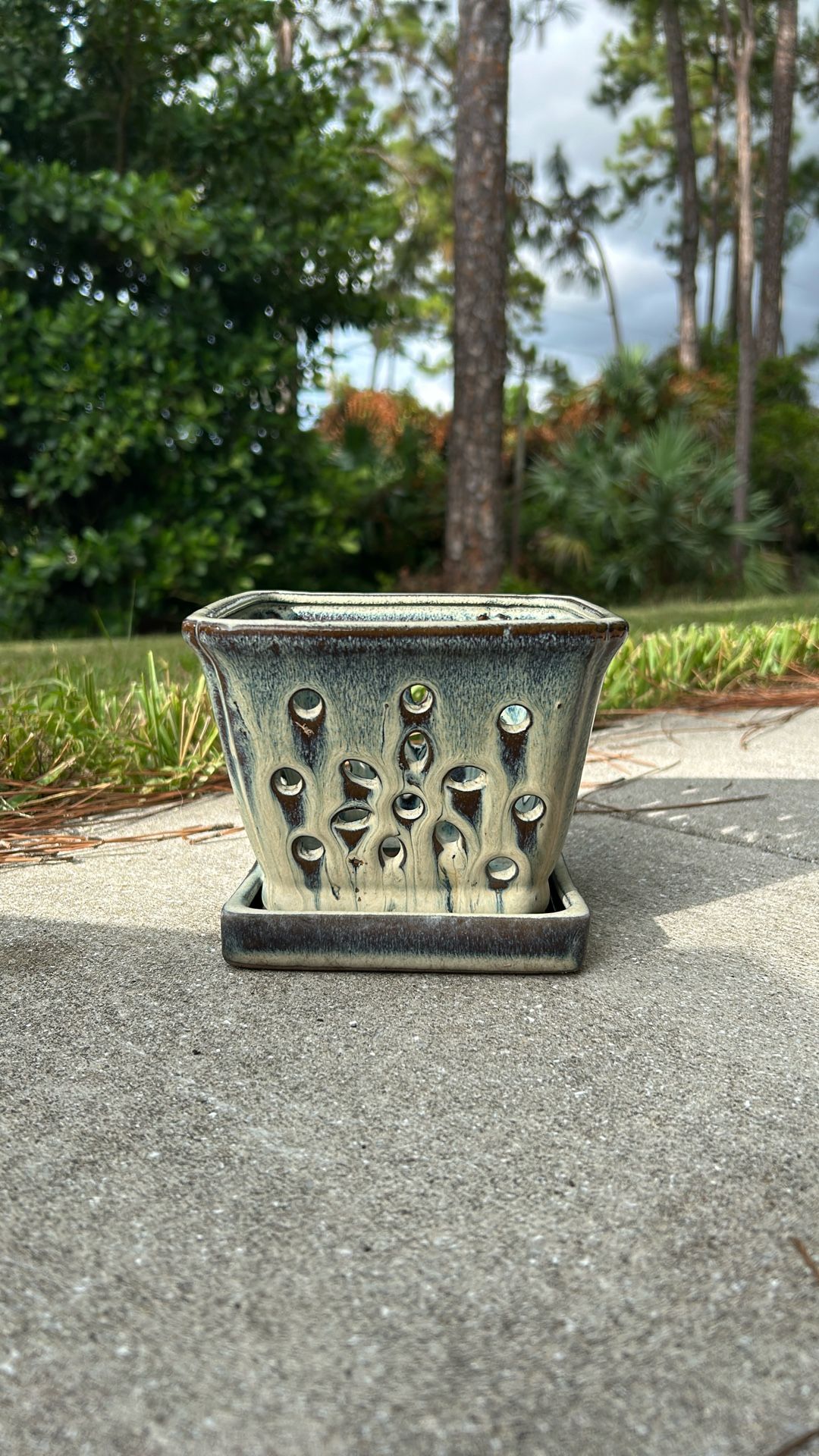 Orchid Pot