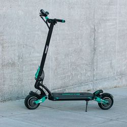Custom E Scooter