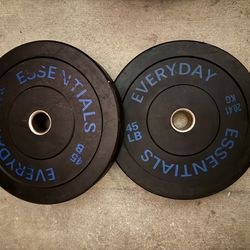 Pair (Two) 45Lb Everyday Essentials Weights