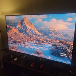 65 Inch Vizio 