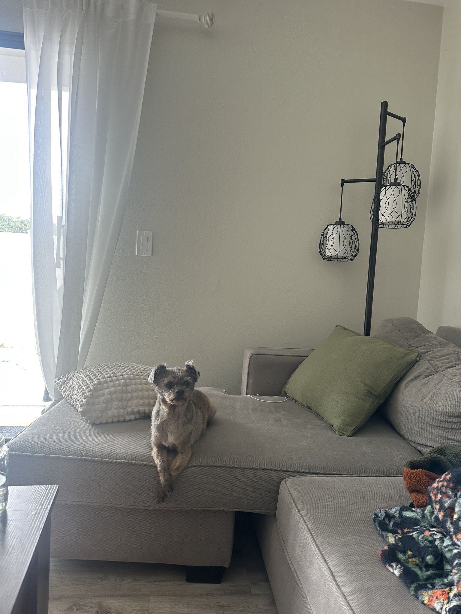 FREE COUCH