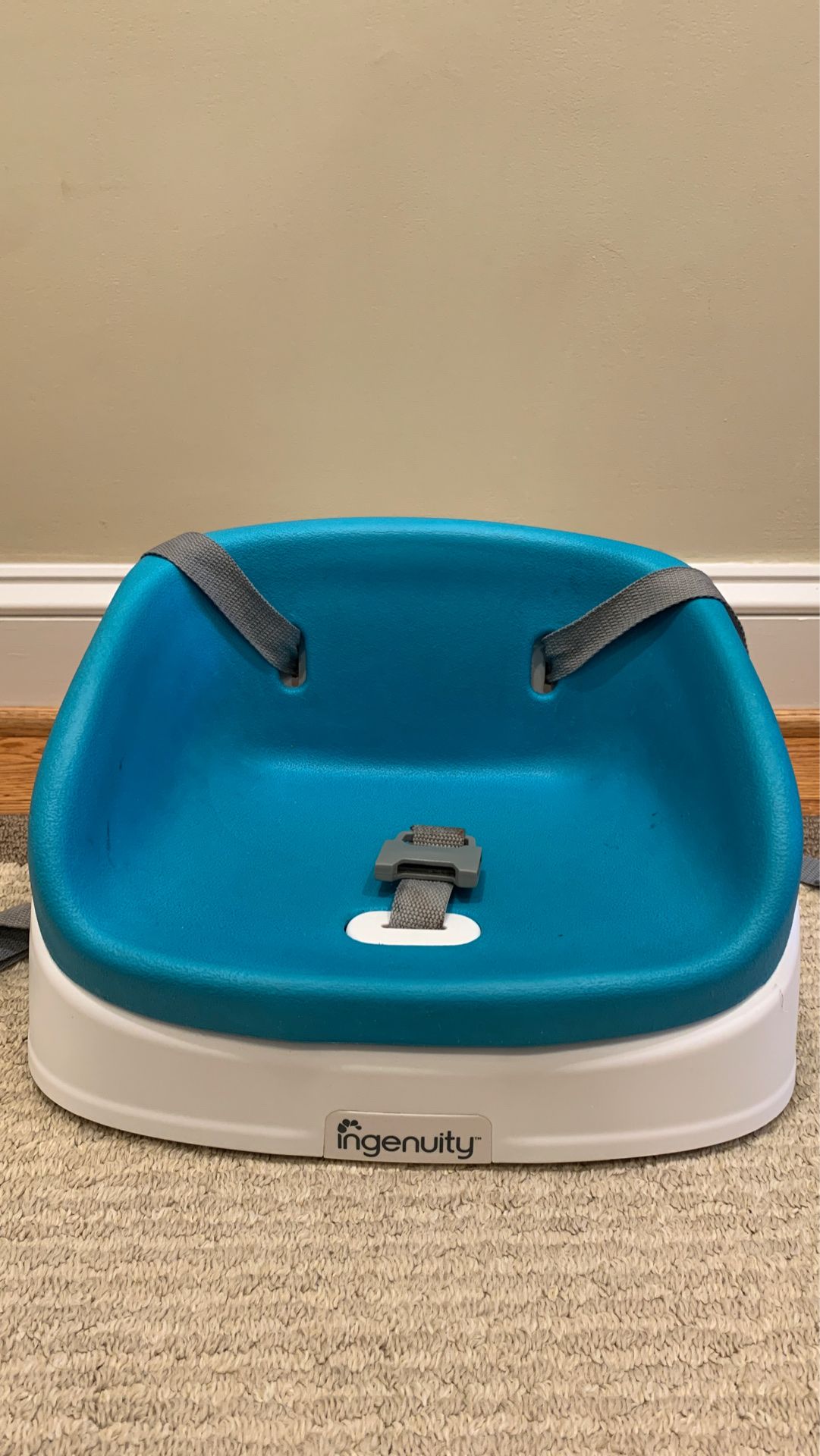 Blue booster seat for kitchen or dining room chair
