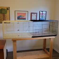 Bird cage.