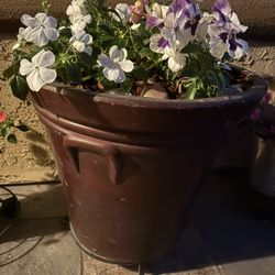 Large Ceramic Pot Full Of Perennials With Rocks And Bark