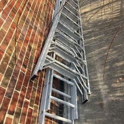 Ladders 