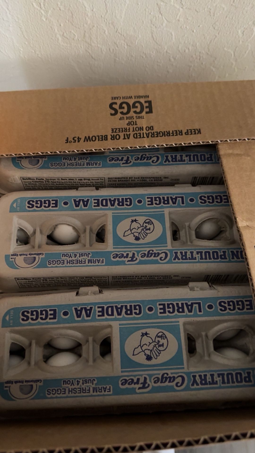Eggs 