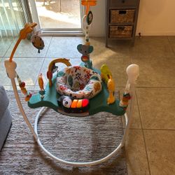 Fisher-Price Whimsical Forest Jumperoo activity center.