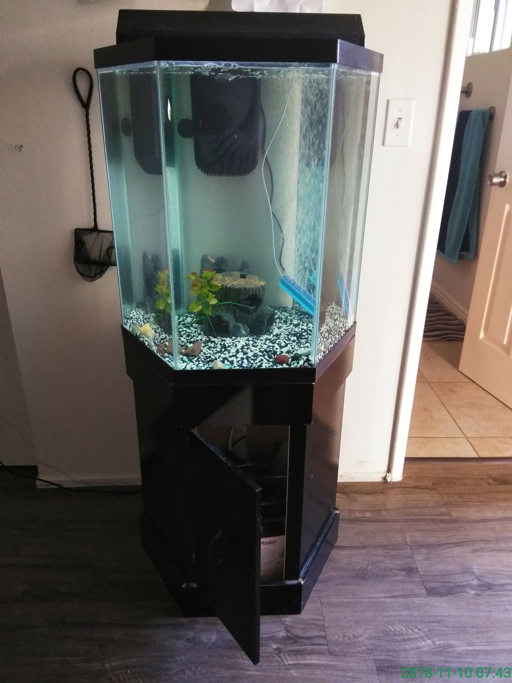 50 gallon , octagon fish 🐠🐋🐟tank