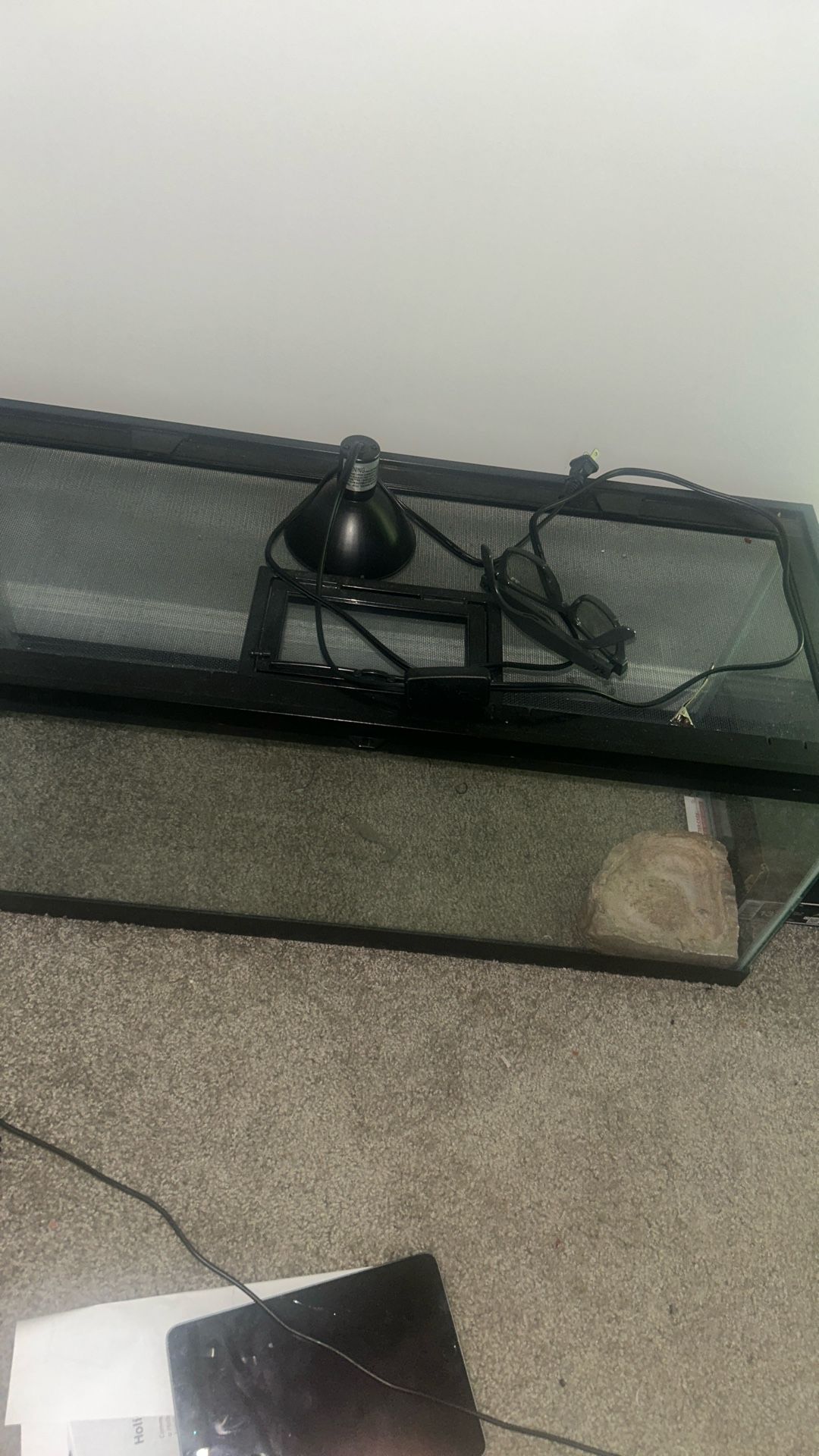 Reptile Tank With Heating Light