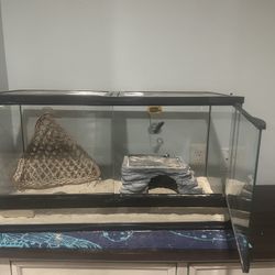 Bearded Dragon Terrarium 