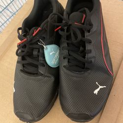 Pumas 