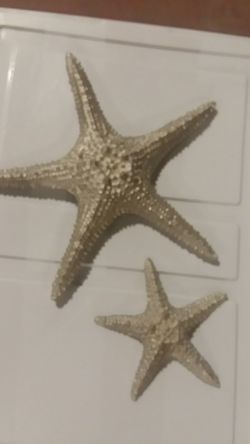 Wall assortment