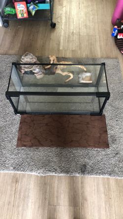 Lizard Tank With Accessories With Double Sided Mat/ 20’’ Tank
