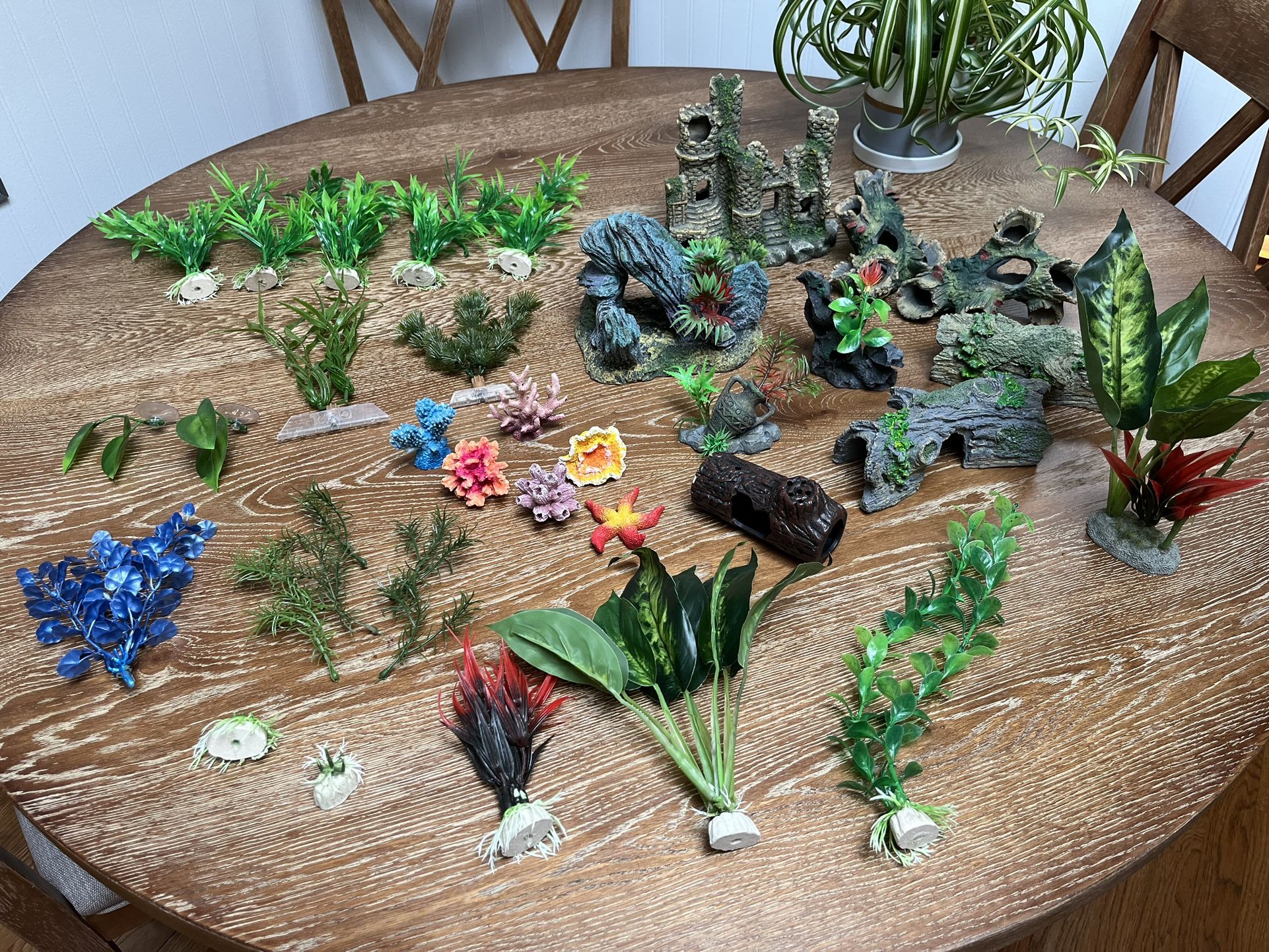 Aquarium Decorations, Hiding Spots, Plants Make An Offer For Anything You Want