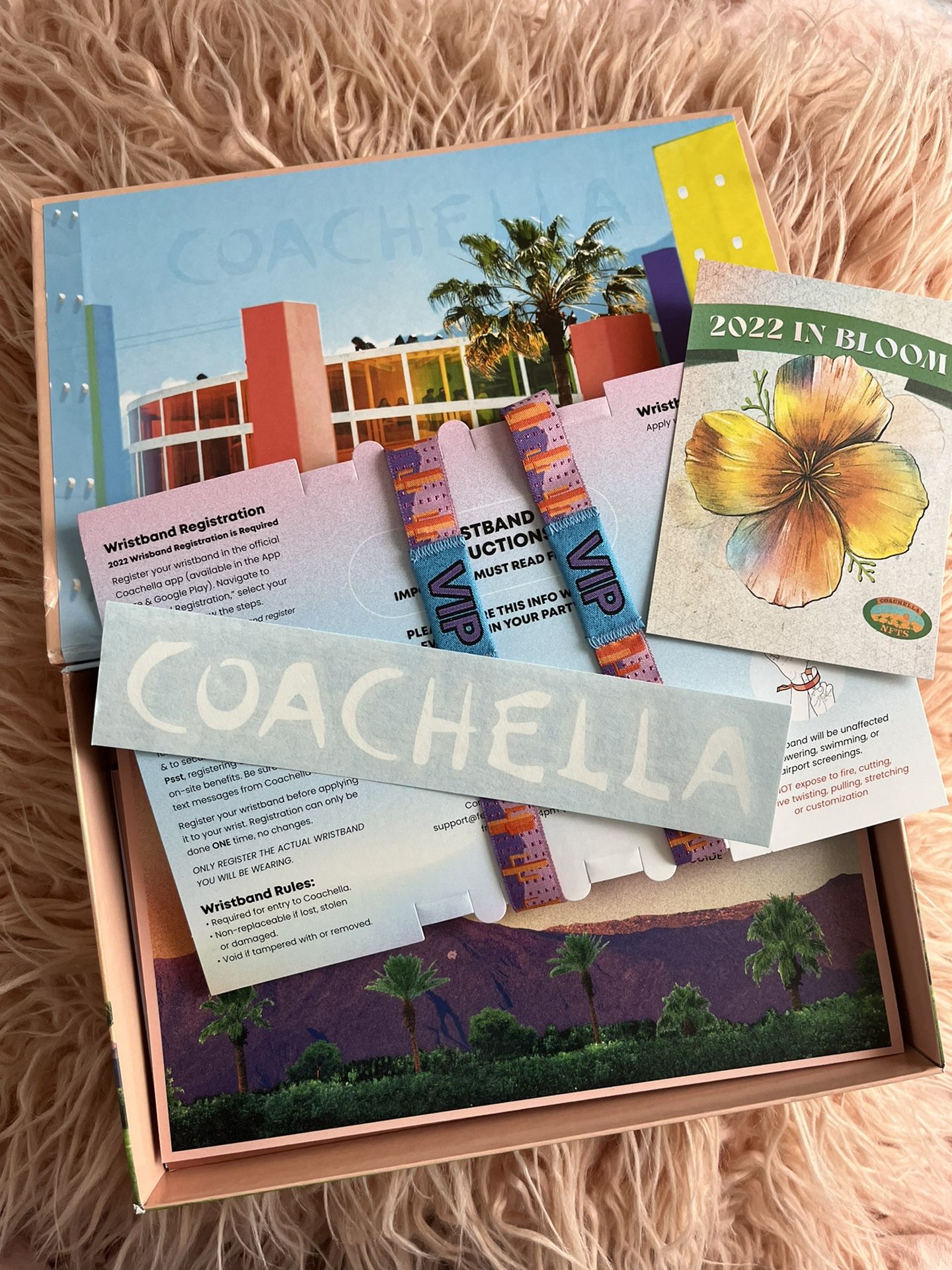 Coachella VIP Wristbands