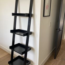 Bookshelf Ladder