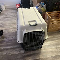 Dog Crate 