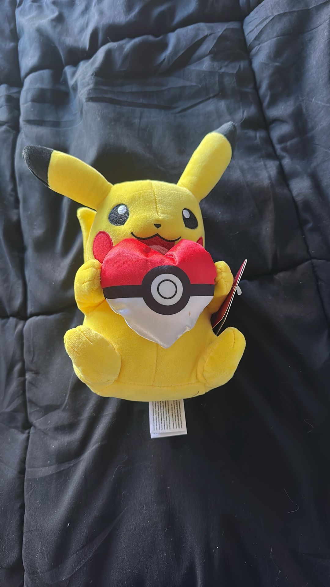 Heart Pikachu Pokémon Plush