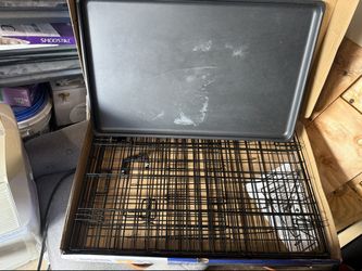 Top Paw 30" Single-Door Folding Dog Crate - Medium, Used