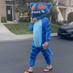 Derpy Cat, K Pop Demon Hunters Costume