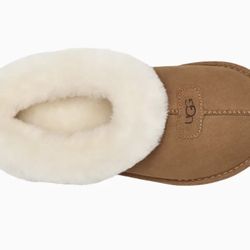 Uggs - Tazette Shoes (brand new)