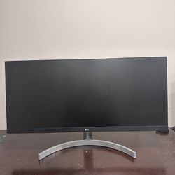 LG 29.5" Ultrawide Monitor 