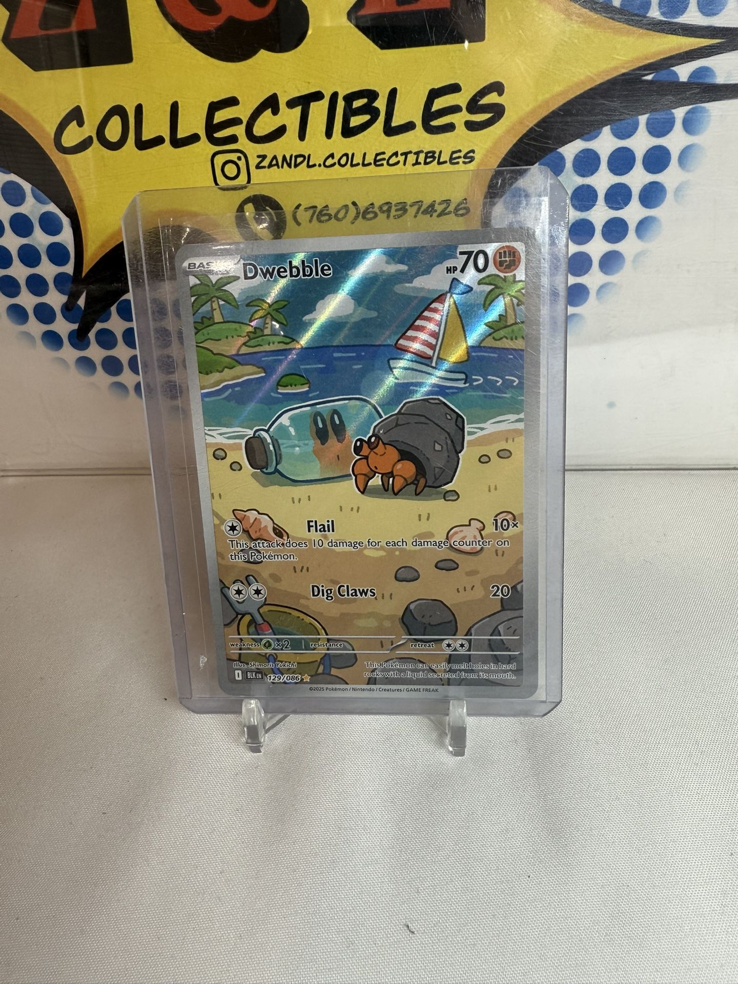 Pokemon Black Bolt: Dwebble