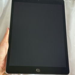 iPad 10th Generation W/ Case & Sling