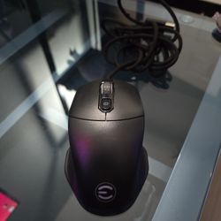 Mouse