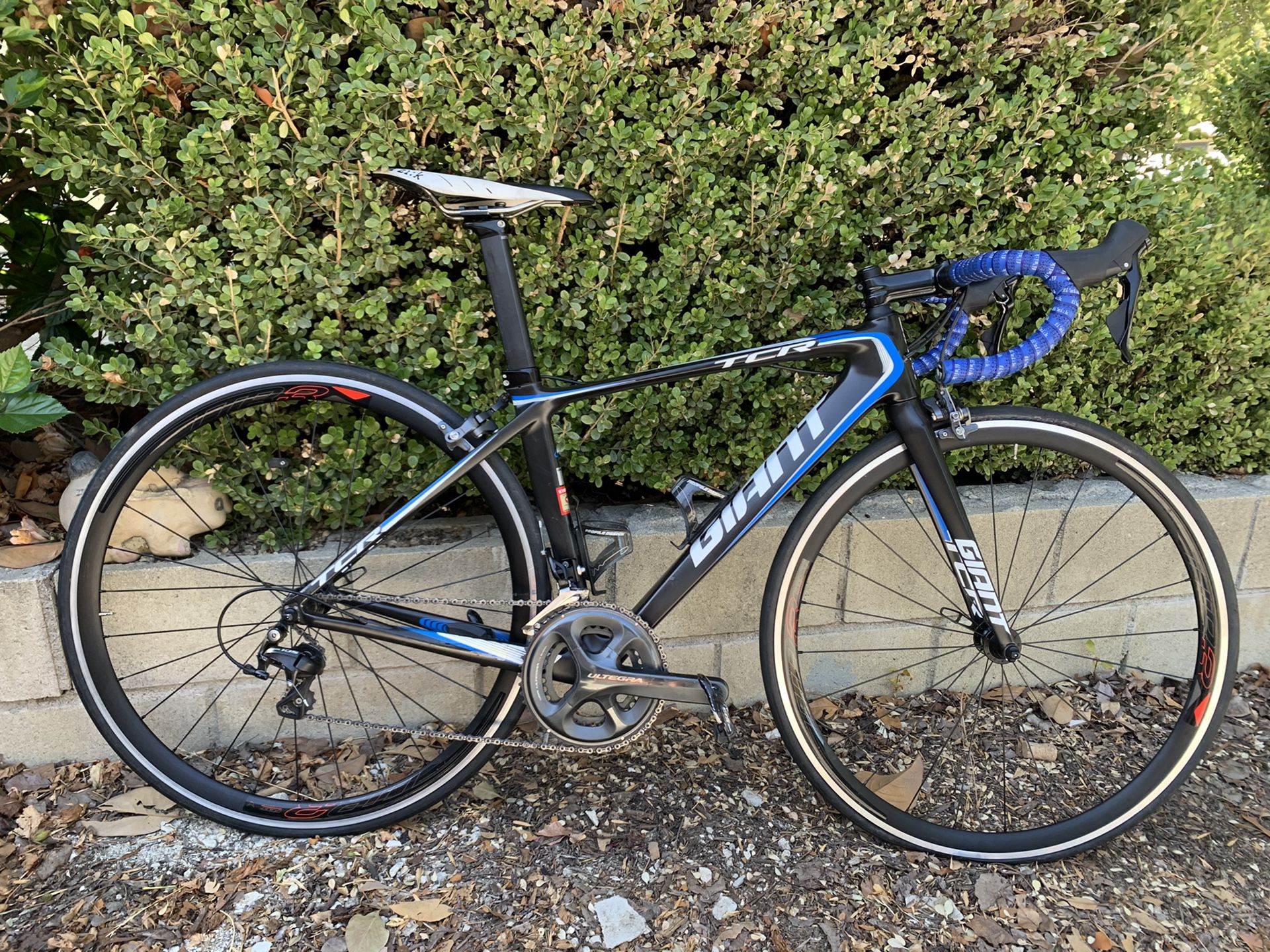 Giant TCR Carbon Road Bike