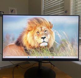 Acer monitor