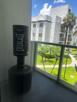 Everlast power core freestanding heavy punching bag