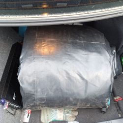 Tarp