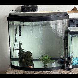 Fish Tank 