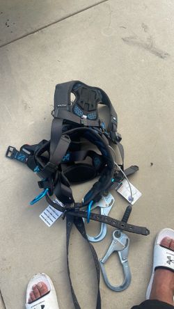Harness