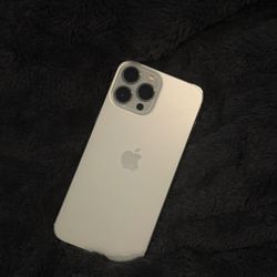 iPhone 13 Pro Max 1Tb