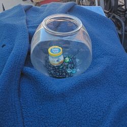 Fish Bowl