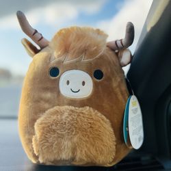 squishmallow 8”