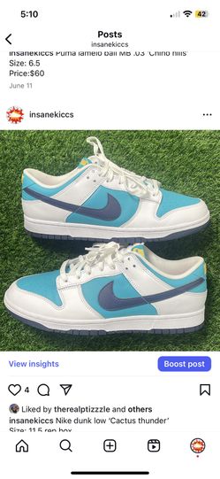 Nike Dunks Size 11.5 Worn Once 