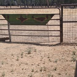 Cattle Gates