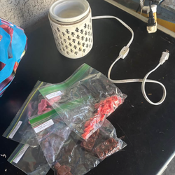 Wax warmer and melts