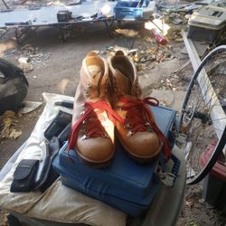Danner Hiking Boot