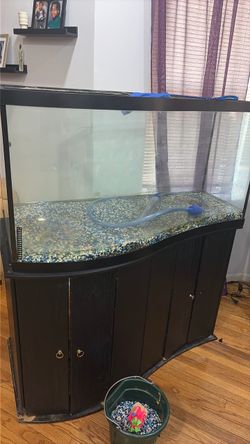 Fish tank 90 gallon