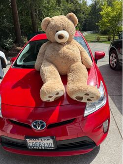 Jumbo COSTCO stuffed bear.