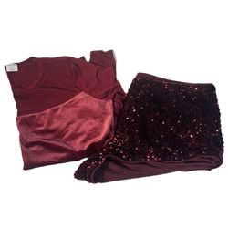 The Wild Fable Red Sequin Velvet Top & Shorts Set In Size Large 